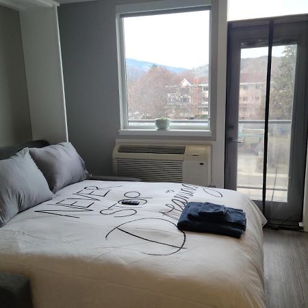 Cozy Studio Suite, 15Min Walk To Downtown Kelowna Exterior foto
